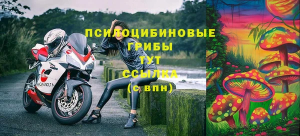 тгк Армянск
