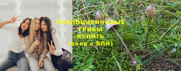 тгк Армянск
