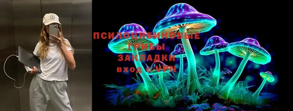 тгк Армянск