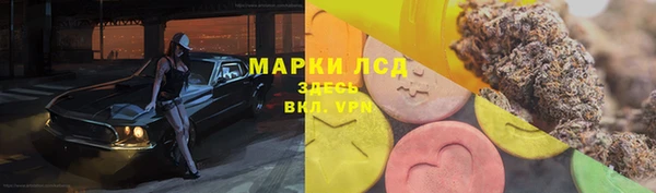 тгк Армянск