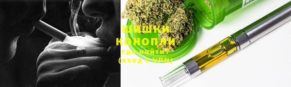 стаф Арсеньев