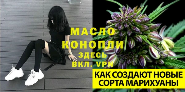 тгк Армянск