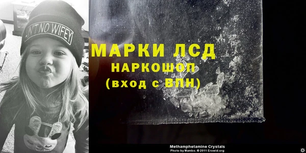 стаф Арсеньев