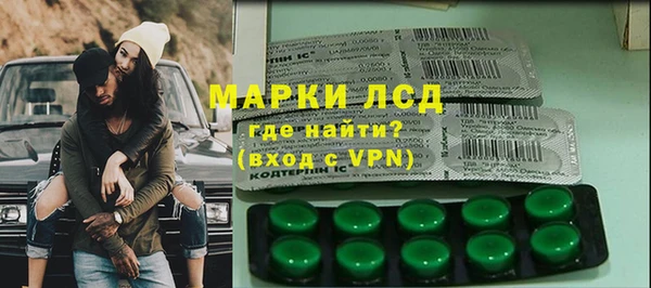 стаф Арсеньев