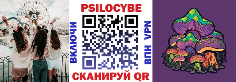 Псилоцибиновые грибы мицелий  Цивильск 